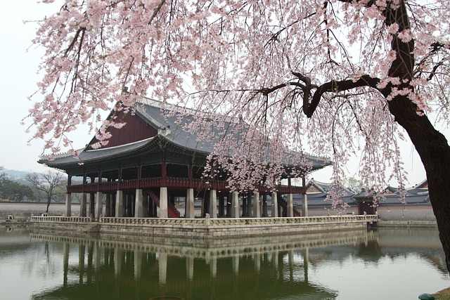 병자호란을 통해 본 국제 외교 실패 사례 알아보기