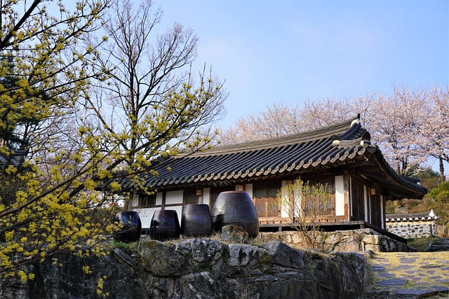 일제강점기, 한국의 경제적 변화와 그 대응 방법 알기